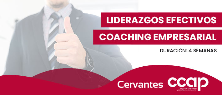 Liderazgos Efectivos / Coaching empresarial